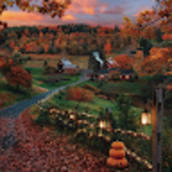 Meet your Posher, Livia - Picture 1 of 1